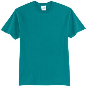 Port & Company – Core Blend Tee. PC55